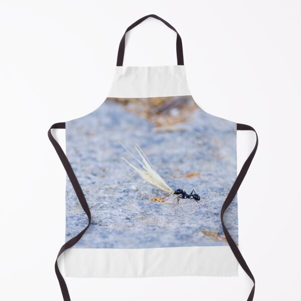Item preview, Black Ant Carrying Winged Seed Across Rocky Ground Symbolizing Determination And Teamwork In Nature designed and sold by Nmallia.