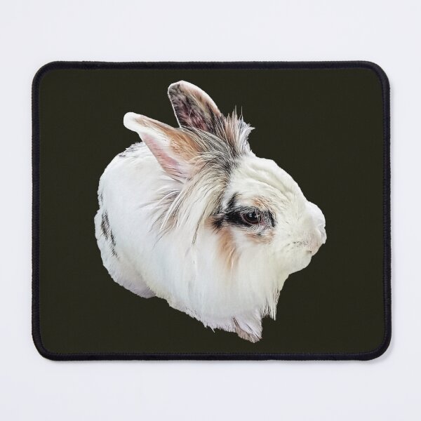 Item preview, Tri-Color Lionhead Rabbit designed and sold by Susan Savad.