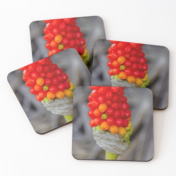 Item preview, Close-Up Of Red Arum Berry Cluster On Green Stem With Vibrant Autumn Colors designed and sold by Nmallia.