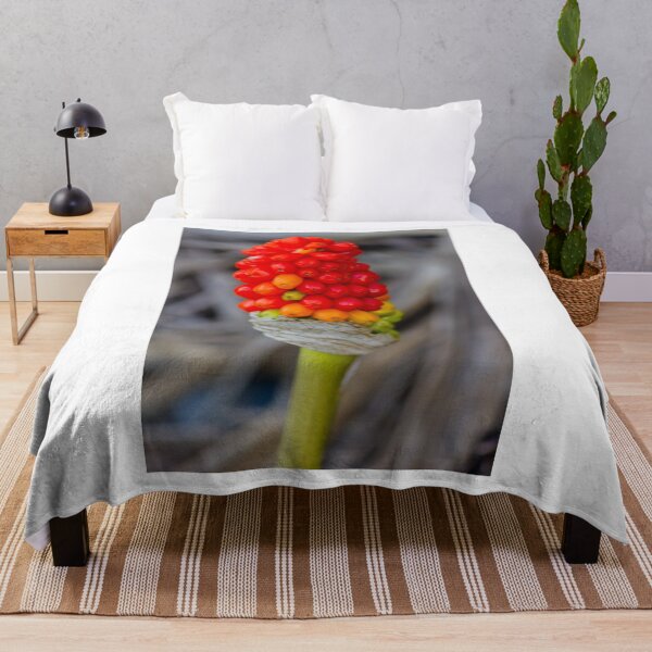 Item preview, Close-Up Of Red Arum Berry Cluster On Green Stem With Vibrant Autumn Colors designed and sold by Nmallia.