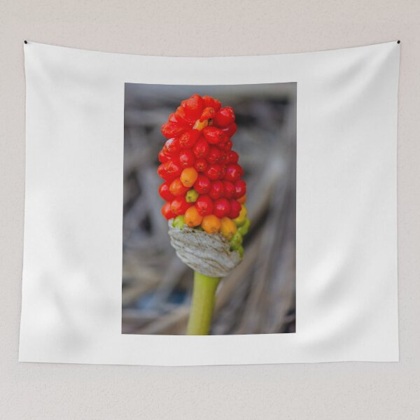 Item preview, Close-Up Of Red Arum Berry Cluster On Green Stem With Vibrant Autumn Colors designed and sold by Nmallia.