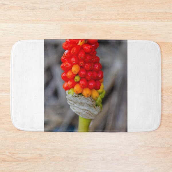 Item preview, Close-Up Of Red Arum Berry Cluster On Green Stem With Vibrant Autumn Colors designed and sold by Nmallia.