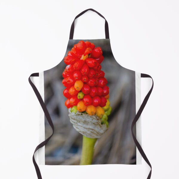 Item preview, Close-Up Of Red Arum Berry Cluster On Green Stem With Vibrant Autumn Colors designed and sold by Nmallia.