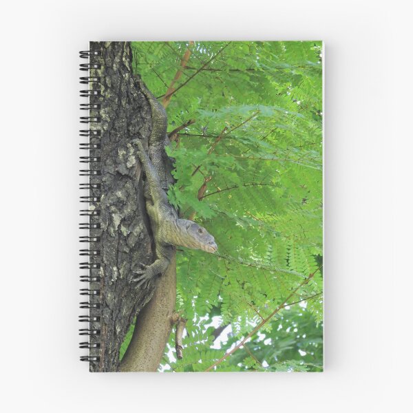 Item preview, Water Monitor designed and sold by morrisophotography.