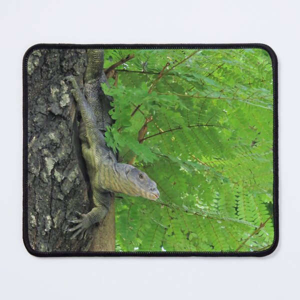 Item preview, Water Monitor designed and sold by morrisophotography.
