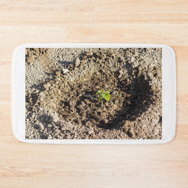Item preview, Young Seedling Planted in Fresh Soil Within a Prepared Garden Bed Representing Growth and Renewal designed and sold by Nmallia.