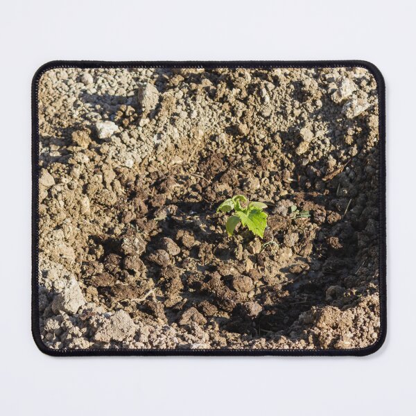 Item preview, Young Seedling Planted in Fresh Soil Within a Prepared Garden Bed Representing Growth and Renewal designed and sold by Nmallia.