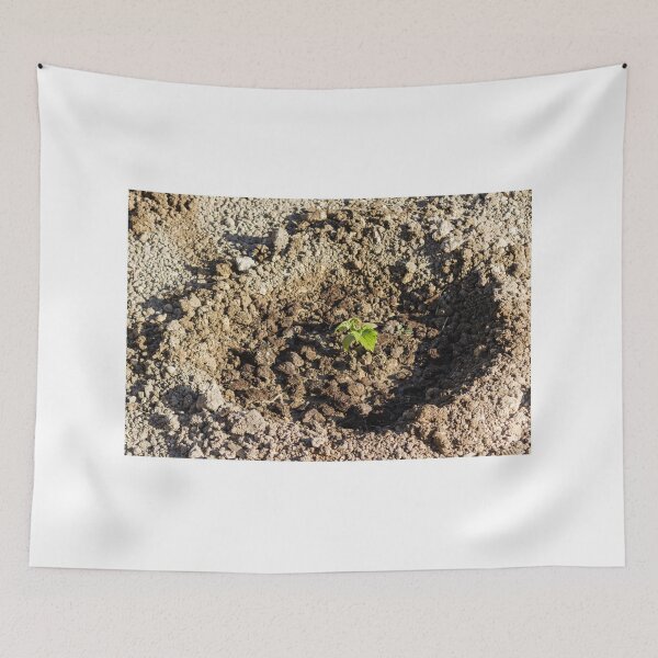 Item preview, Young Seedling Planted in Fresh Soil Within a Prepared Garden Bed Representing Growth and Renewal designed and sold by Nmallia.