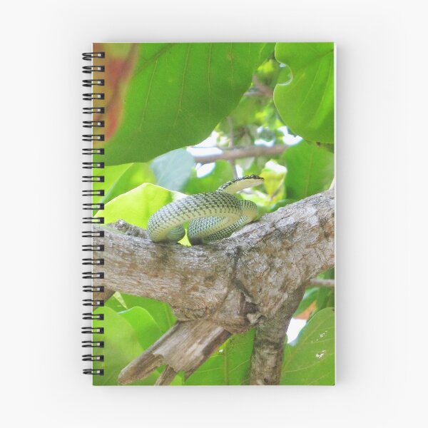 Item preview, Green Tree Snake designed and sold by morrisophotography.