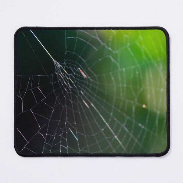 Item preview, Intricate Spider Web Macro With Dew Drops And Soft Green Bokeh Background In Nature designed and sold by Nmallia.