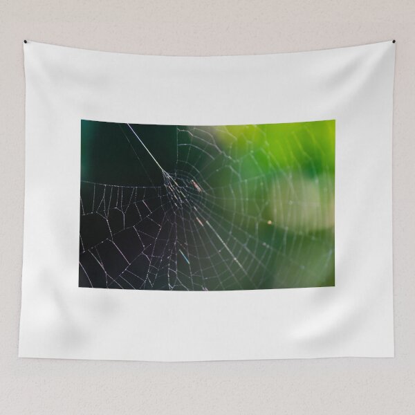 Item preview, Intricate Spider Web Macro With Dew Drops And Soft Green Bokeh Background In Nature designed and sold by Nmallia.