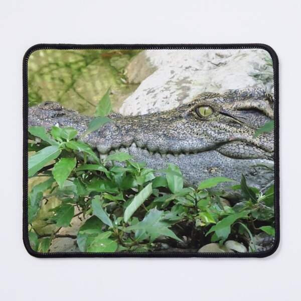 Item preview, Crocodile designed and sold by morrisophotography.