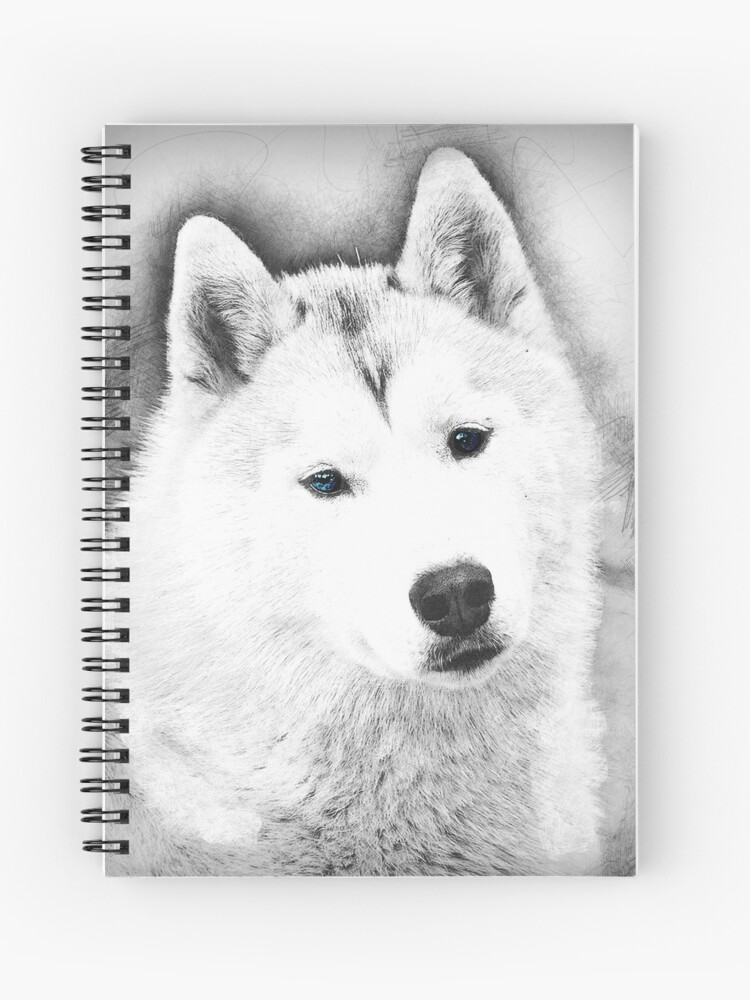 How To Draw A Realistic Husky Step by Step Drawing Guide by finalprodigy   DragoArt