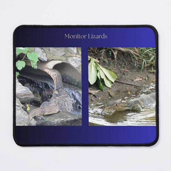 Item preview, Monitor Lizards designed and sold by morrisophotography.