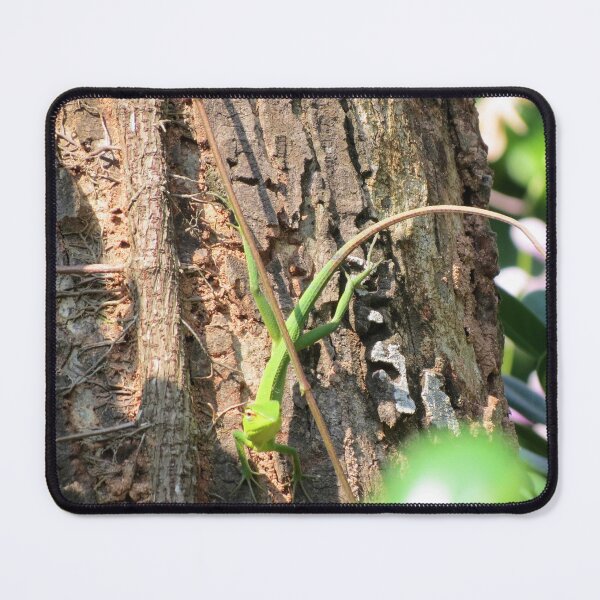 Item preview, Green Lizard designed and sold by morrisophotography.