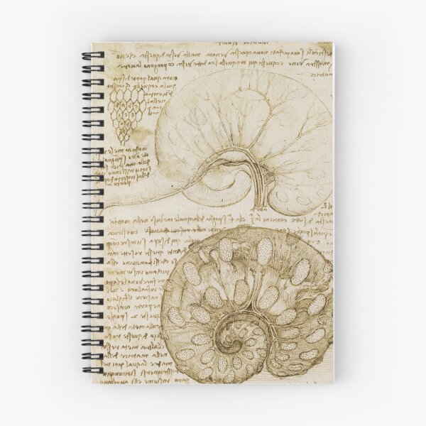 Item preview, Leonardo da Vinci Gravid Cow Uterus Anatomy Study Renaissance Scientific Poster designed and sold by artofuniverse.