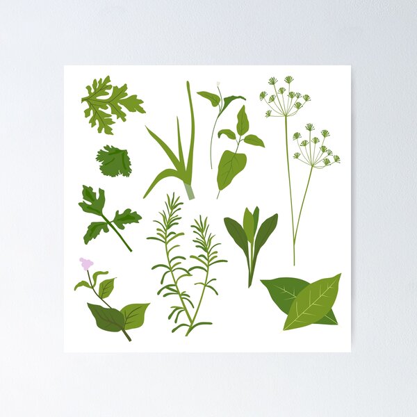 Item preview, Herb Kitchen Art designed and sold by Charmaine Paulson.