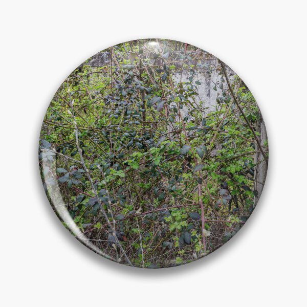 Item preview, Reclaimed — Overgrown Abandoned Window designed and sold by Rabee Khalil Photography.