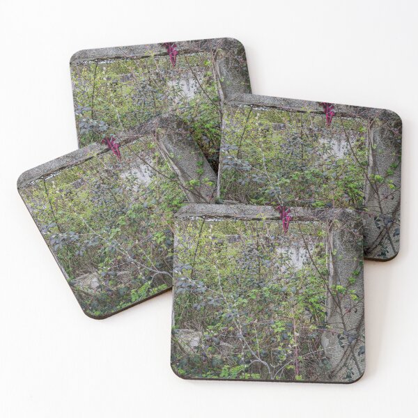 Item preview, Reclaimed — Overgrown Abandoned Window designed and sold by Rabee Khalil Photography.