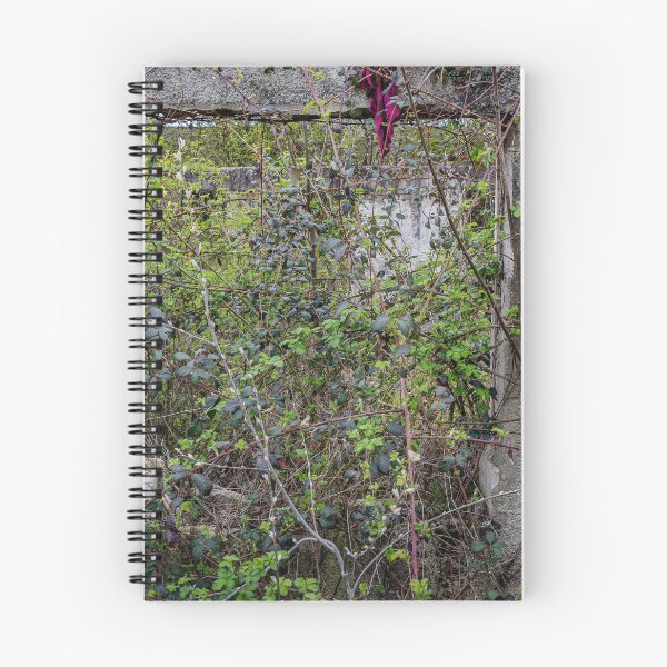 Item preview, Reclaimed — Overgrown Abandoned Window designed and sold by Rabee Khalil Photography.