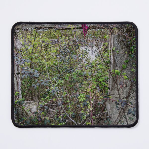 Item preview, Reclaimed — Overgrown Abandoned Window designed and sold by Rabee Khalil Photography.
