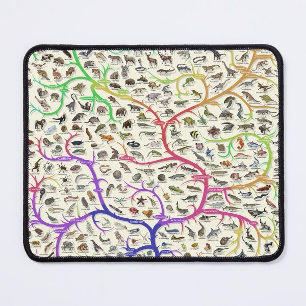 Item preview, Tree of Life - Evolution Poster - German designed and sold by EvolutionPoster.