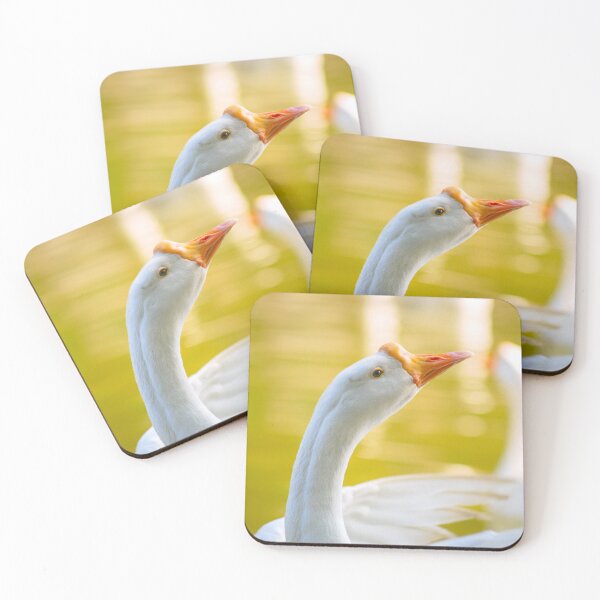 Item preview, Goose - Closeup designed and sold by Neha  Gupta.