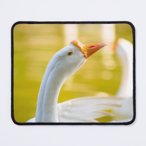 Item preview, Goose - Closeup designed and sold by Neha Gupta.
