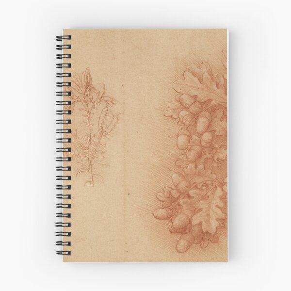 Item preview, Leonardo da Vinci Oak and Acorn Botanical Study Renaissance Nature Drawing Print designed and sold by artofuniverse.