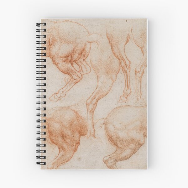 Artikelvorschau, Leonardo da Vinci: Studie der Hinterbeine eines Pferdes – Renaissance-Zeichnung der Pferdeanatomie (Druck) entworfen und verkauft von artofuniverse.