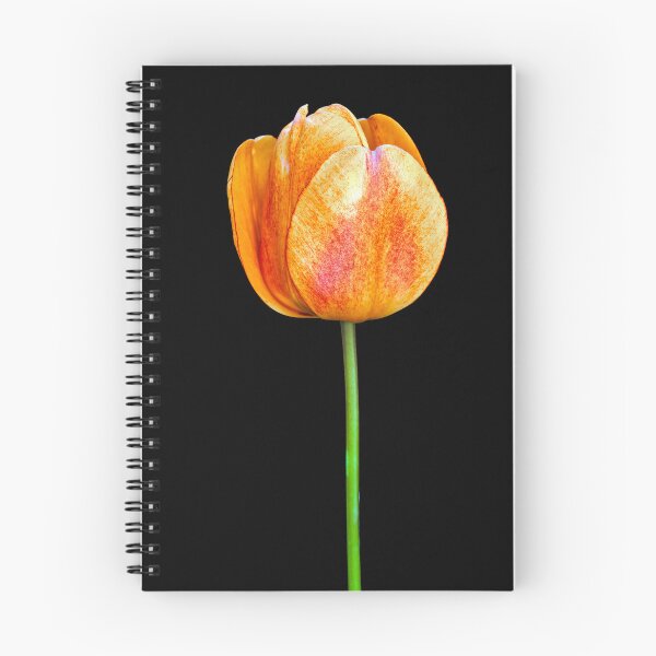Item preview, Macro Red Tulip designed and sold by Tom McPherson Photography.