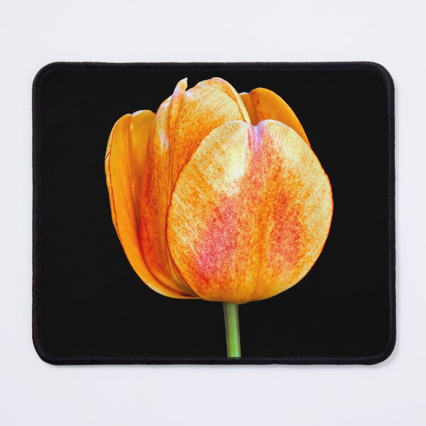 Item preview, Macro Red Tulip designed and sold by Tom McPherson Photography.