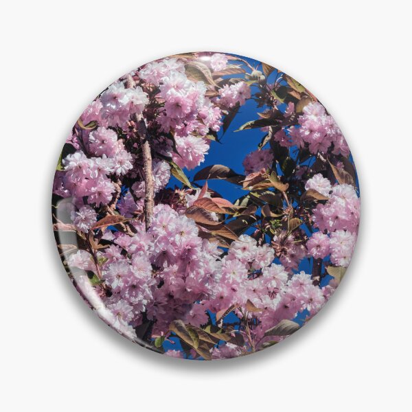Item preview, Japanese Flowering Cherry Tree in Full Bloom  designed and sold by Tom McPherson Photography.