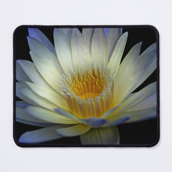 Item preview, Water Lily designed and sold by RickThomason.