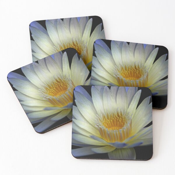 Item preview, Water Lily designed and sold by RickThomason.