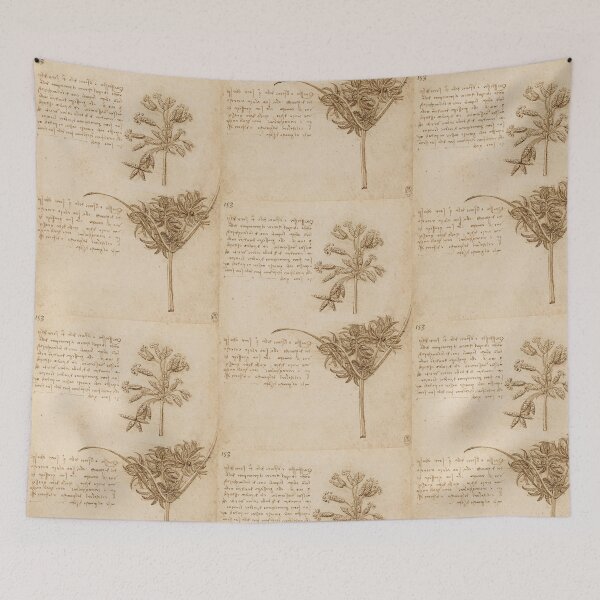 Item preview, Studies of Two Sedges by Leonardo da Vinci Renaissance Botanical Drawing Print designed and sold by artofuniverse.