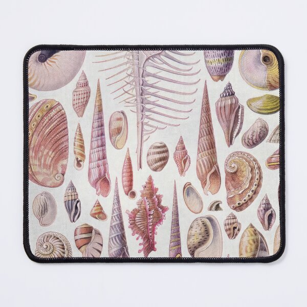 Item preview, Ernst Haeckel designed and sold by Art-KaBoom.