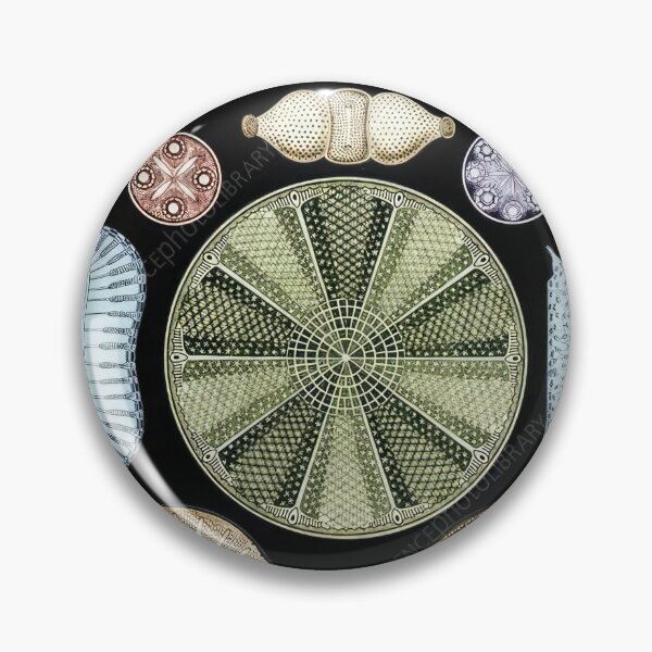 Item preview, Ernst Haeckel designed and sold by Art-KaBoom.