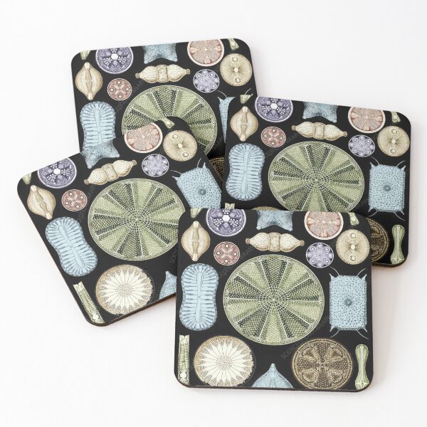 Item preview, Ernst Haeckel designed and sold by Art-KaBoom.
