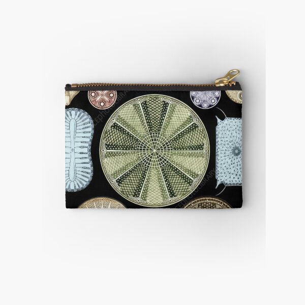 Item preview, Ernst Haeckel designed and sold by Art-KaBoom.