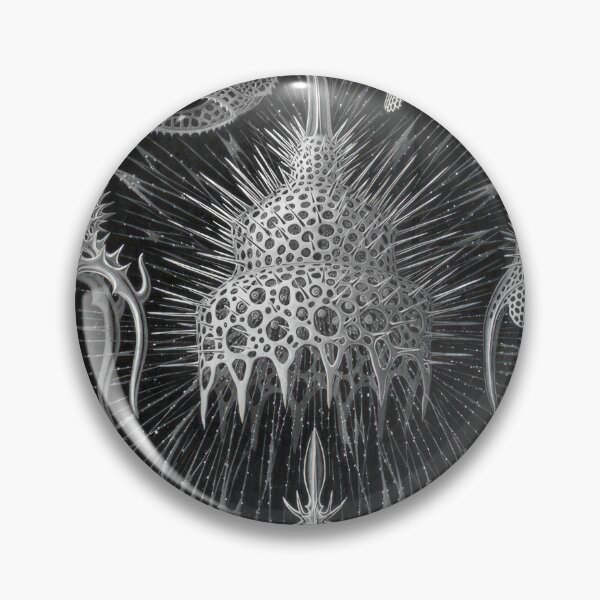 Item preview, Ernst Haeckel designed and sold by Art-KaBoom.