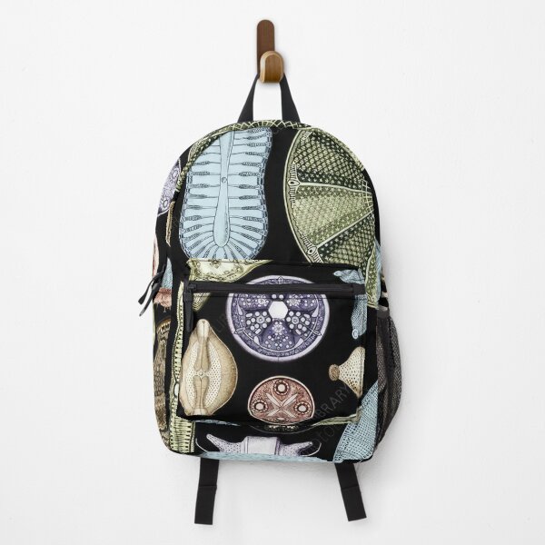 Item preview, Ernst Haeckel designed and sold by Art-KaBoom.