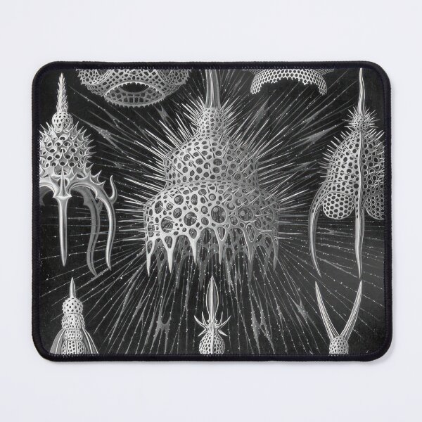 Item preview, Ernst Haeckel designed and sold by Art-KaBoom.