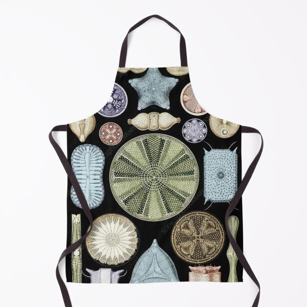 Item preview, Ernst Haeckel designed and sold by Art-KaBoom.