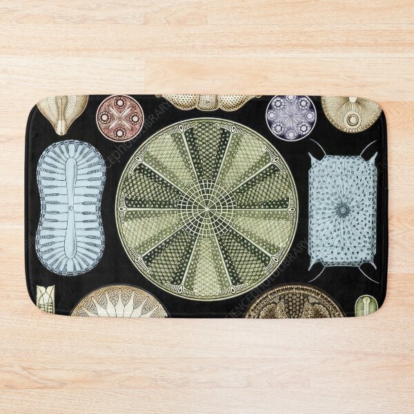 Item preview, Ernst Haeckel designed and sold by Art-KaBoom.
