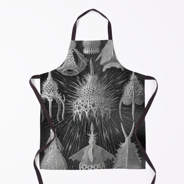 Item preview, Ernst Haeckel designed and sold by Art-KaBoom.