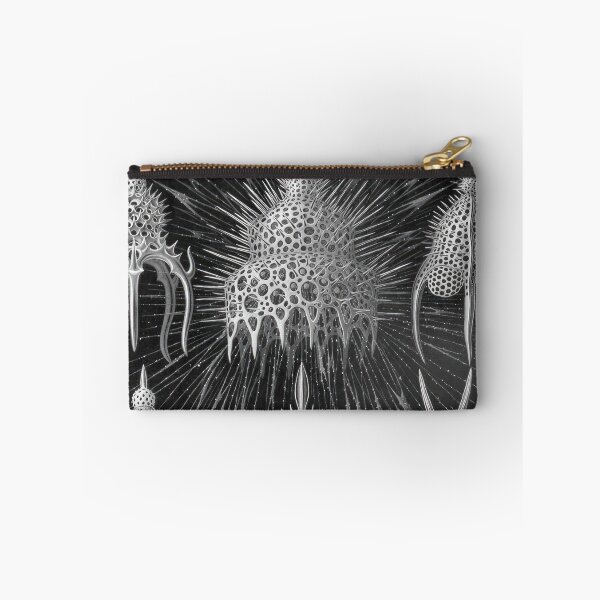Item preview, Ernst Haeckel designed and sold by Art-KaBoom.