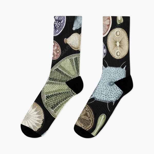 Item preview, Ernst Haeckel designed and sold by Art-KaBoom.