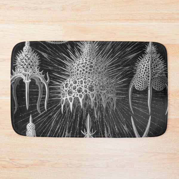 Item preview, Ernst Haeckel designed and sold by Art-KaBoom.