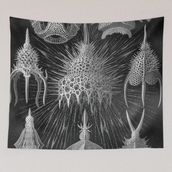 Item preview, Ernst Haeckel designed and sold by Art-KaBoom.